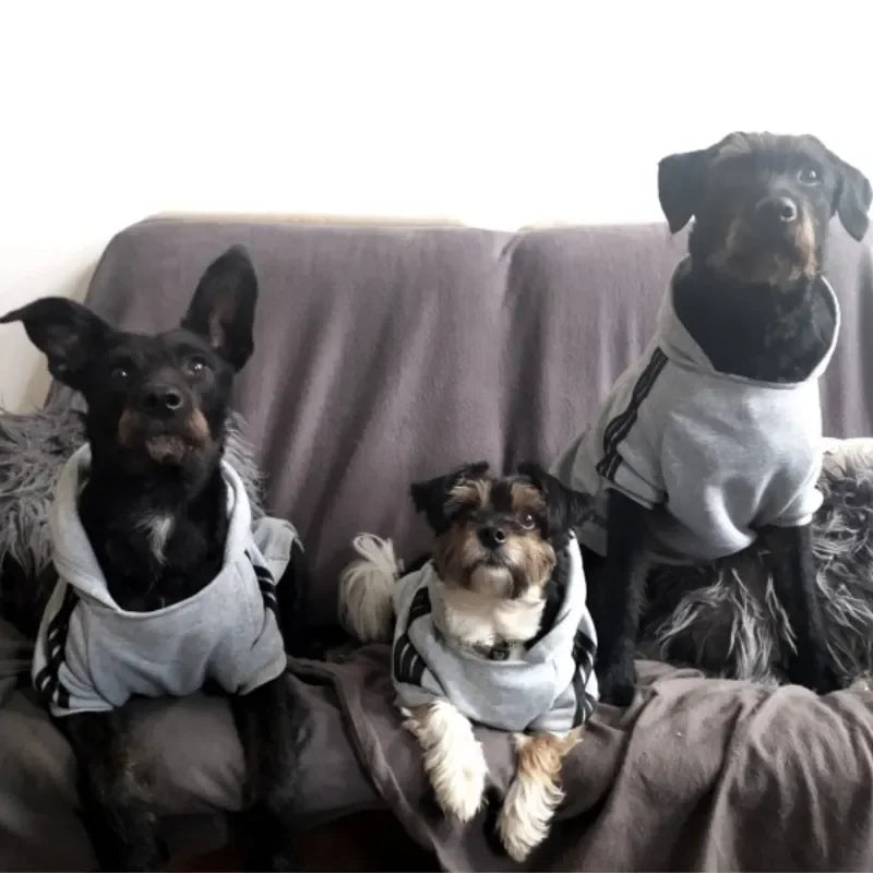 PawHoodie™ – Cozy Fit Dog Sweatshirt