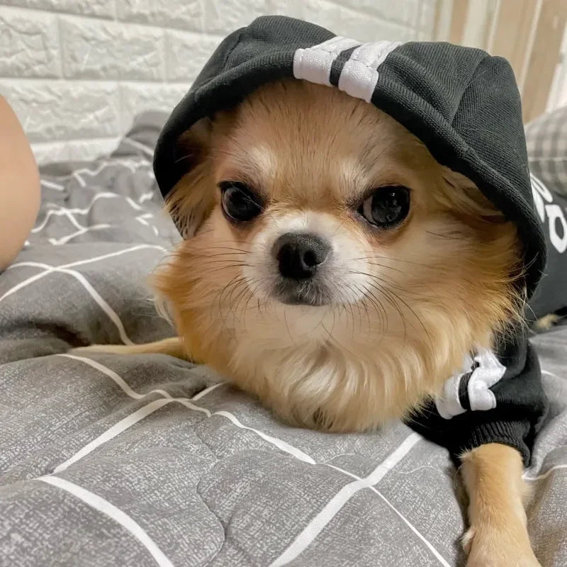 PawHoodie™ – Cozy Fit Dog Sweatshirt
