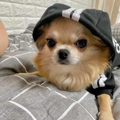 PawHoodie™ – Cozy Fit Dog Sweatshirt